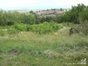img_1222010446_430