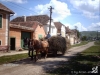 img_1222012629_281