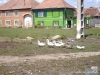 img_1222012629_844