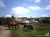 img_1222012629_981
