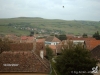 img_1222012630_362
