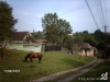 img_1222012648_0