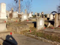 IMG-20160120-WA0006
