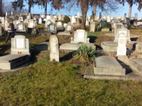 IMG-20160120-WA0009