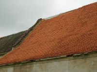 DSCN7490